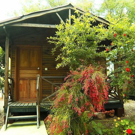 Merhaba Bungalow Hotel Beykonak Стая снимка